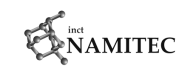 INCT-NAMITEC-Grey
